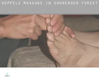 Koppels massage in  Shorewood Forest