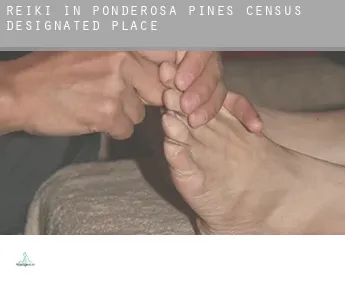 Reiki in  Ponderosa Pines