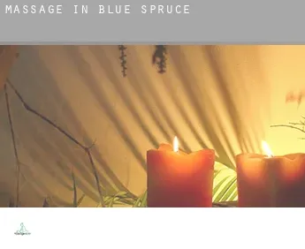 Massage in  Blue Spruce