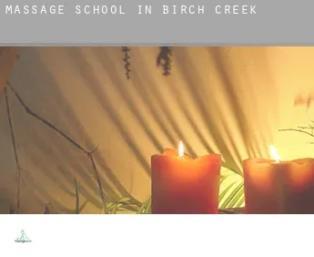 Massage school in  Birch Creek