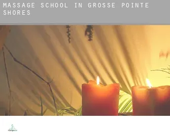 Massage school in  Grosse Pointe Shores