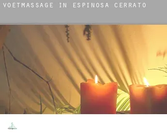 Voetmassage in  Espinosa de Cerrato