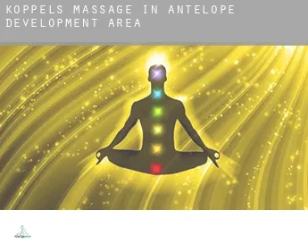 Koppels massage in  Antelope Development Area