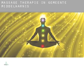 Massage therapie in Gemeente Middelharnis