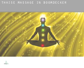 Thaise massage in  Boomdecker