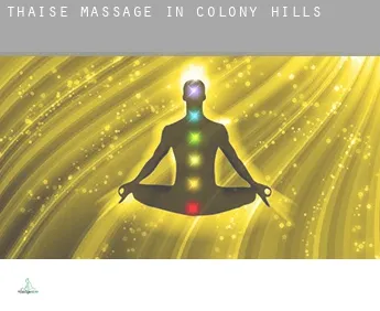Thaise massage in  Colony Hills