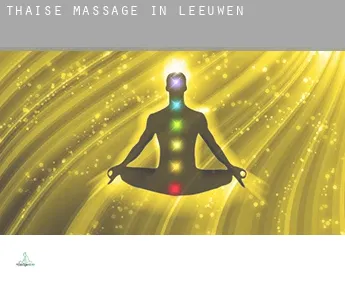 Thaise massage in Leeuwen