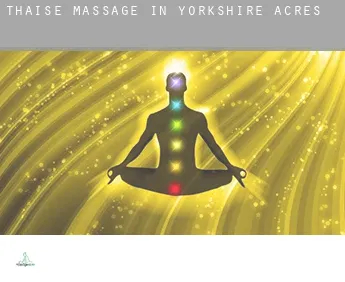 Thaise massage in  Yorkshire Acres
