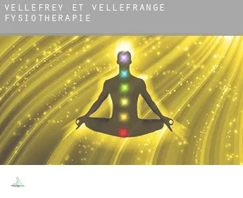 Vellefrey-et-Vellefrange  fysiotherapie