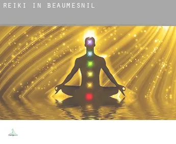 Reiki in  Beaumesnil
