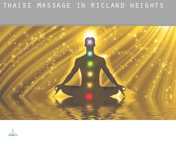 Thaise massage in  Ricland Heights