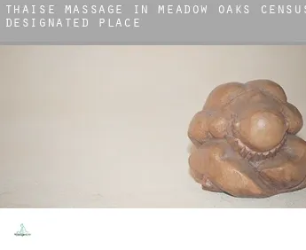 Thaise massage in  Meadow Oaks