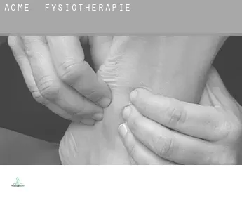 Acme  fysiotherapie