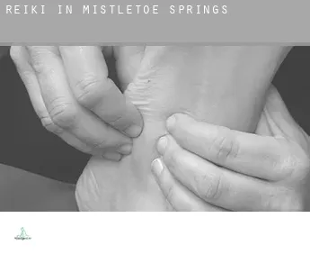 Reiki in  Mistletoe Springs