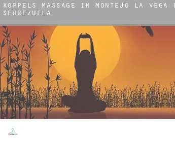 Koppels massage in  Montejo de la Vega de la Serrezuela