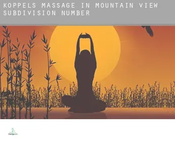 Koppels massage in  Mountain View Subdivision Number 11