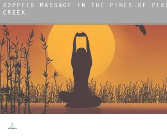 Koppels massage in  The Pines of Pike Creek