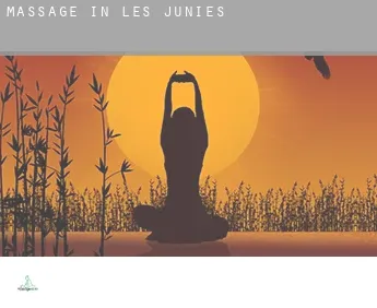 Massage in  Les Junies