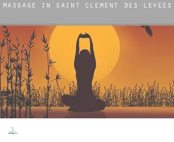 Massage in  Saint-Clément-des-Levées