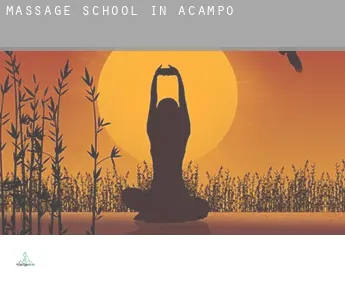 Massage school in  Acampo