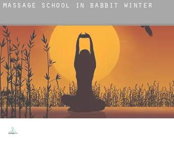 Massage school in  Babbit Winter