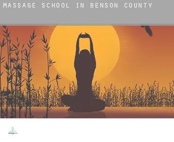 Massage school in  Benson County