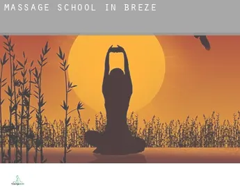 Massage school in  Brézé