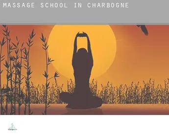 Massage school in  Charbogne