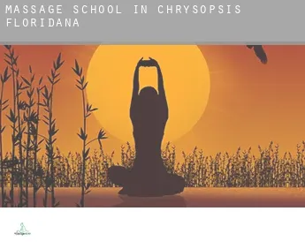 Massage school in  Chrysopsis Floridana