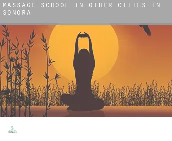 Massage school in  Other cities in Sonora