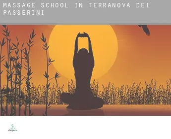 Massage school in  Terranova dei Passerini