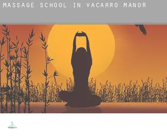 Massage school in  Vacarro Manor