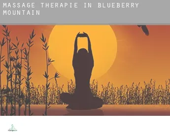 Massage therapie in  Blueberry Mountain