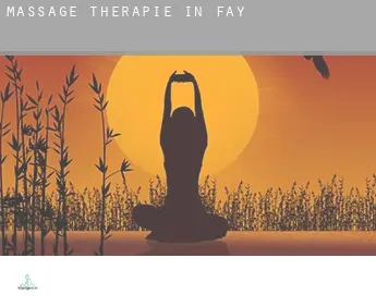 Massage therapie in  Fay