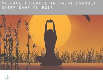 Massage therapie in  Saint-Evroult-Notre-Dame-du-Bois