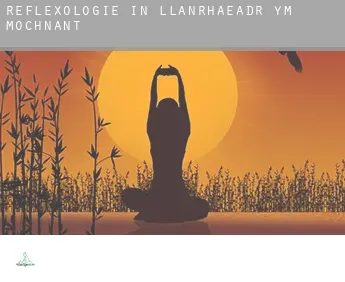 Reflexologie in  Llanrhaeadr-ym-Mochnant