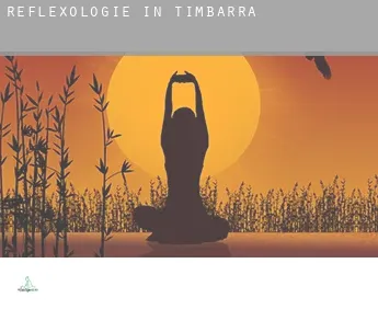 Reflexologie in  Timbarra