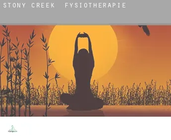 Stony Creek  fysiotherapie