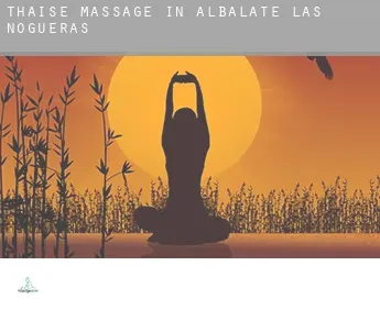 Thaise massage in  Albalate de las Nogueras