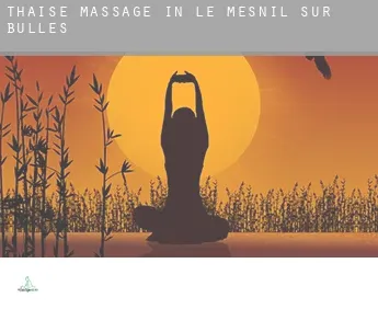 Thaise massage in Le Mesnil-sur-Bulles
