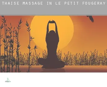 Thaise massage in  Le Petit-Fougeray