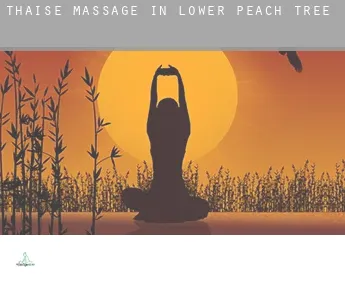 Thaise massage in  Lower Peach Tree