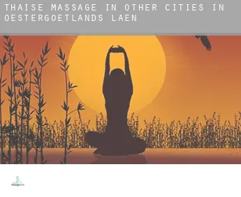 Thaise massage in  Other cities in OEstergoetlands Laen