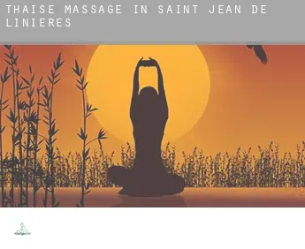 Thaise massage in  Saint-Jean-de-Linières