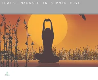 Thaise massage in  Summer Cove