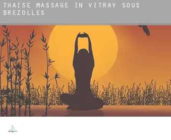 Thaise massage in  Vitray-sous-Brézolles
