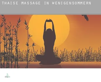 Thaise massage in  Wenigensömmern