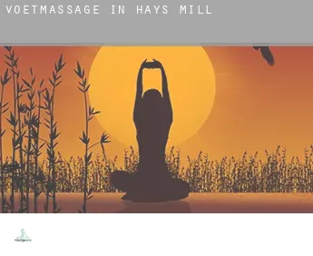 Voetmassage in  Hays Mill