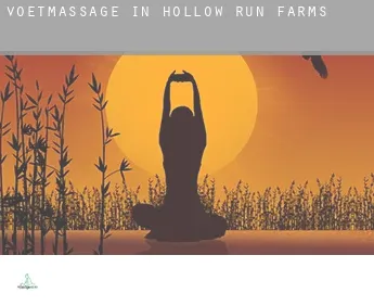 Voetmassage in  Hollow Run Farms