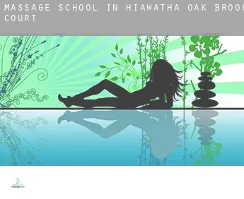 Massage school in  Hiawatha Oak Brook Court